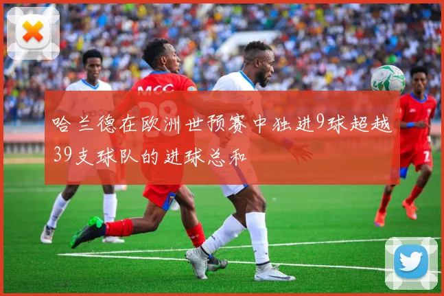 哈兰德在欧洲世预赛中独进9球超越39支球队的进球总和